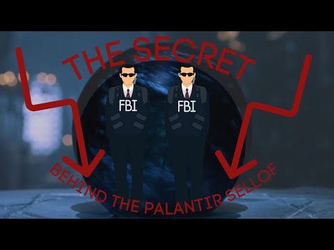 The Truth Behind the Palantir Sell-Off - You Need to Know This!!!