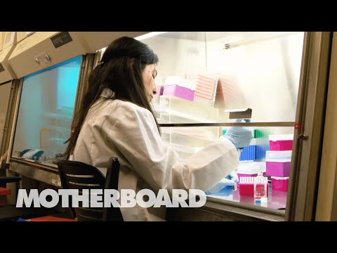 The Future of Medicine: CRISPR, Drug Prices &amp; Gene Therapy