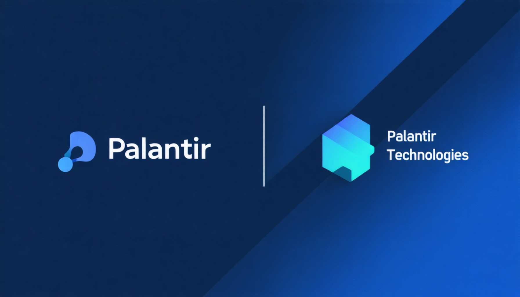 Is Palantir Technologies the Next Big Investment or a High-Stakes Gamble?